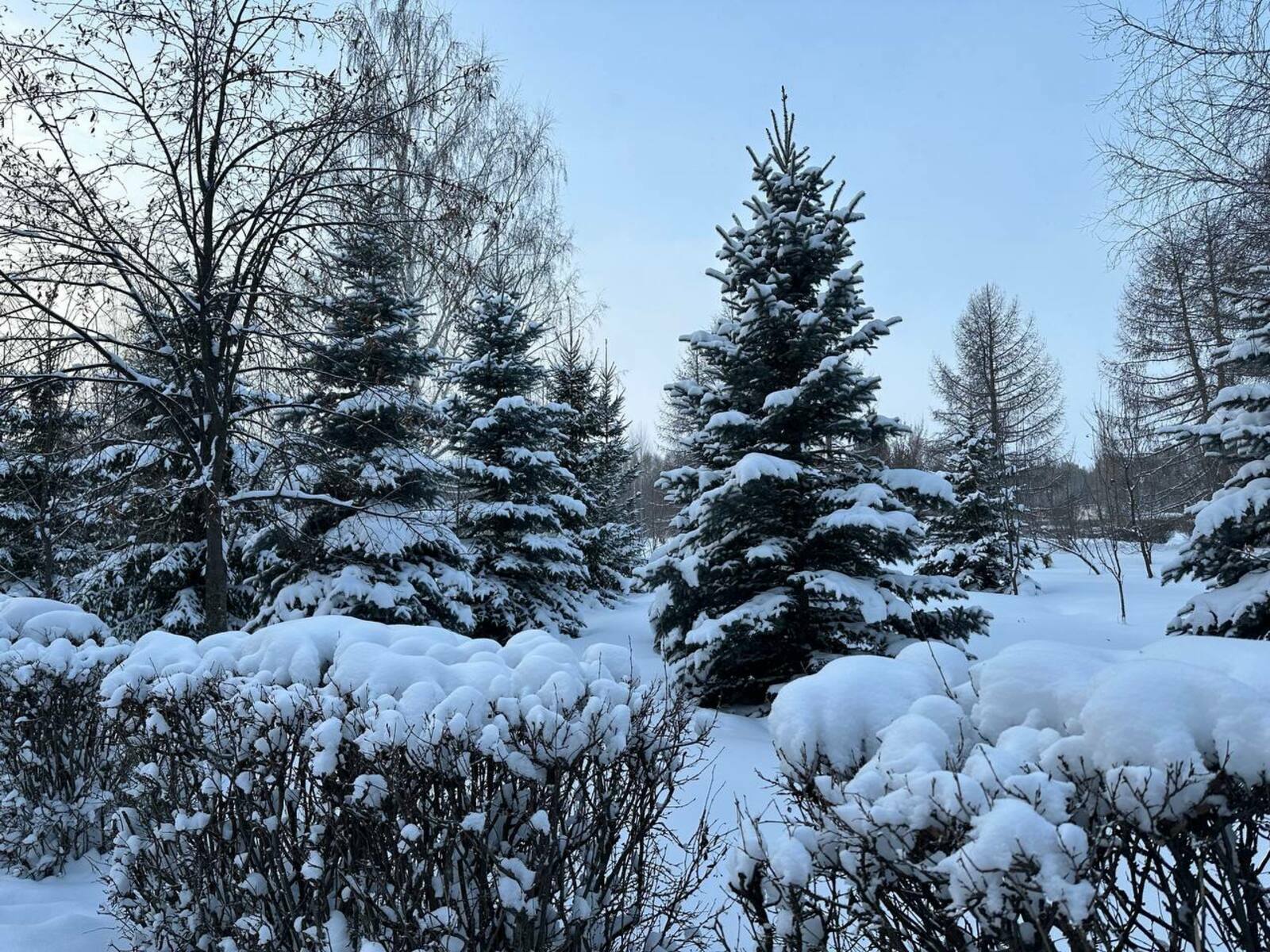 В Башкирии напомнили, при какой температуре отменяют занятия в школах