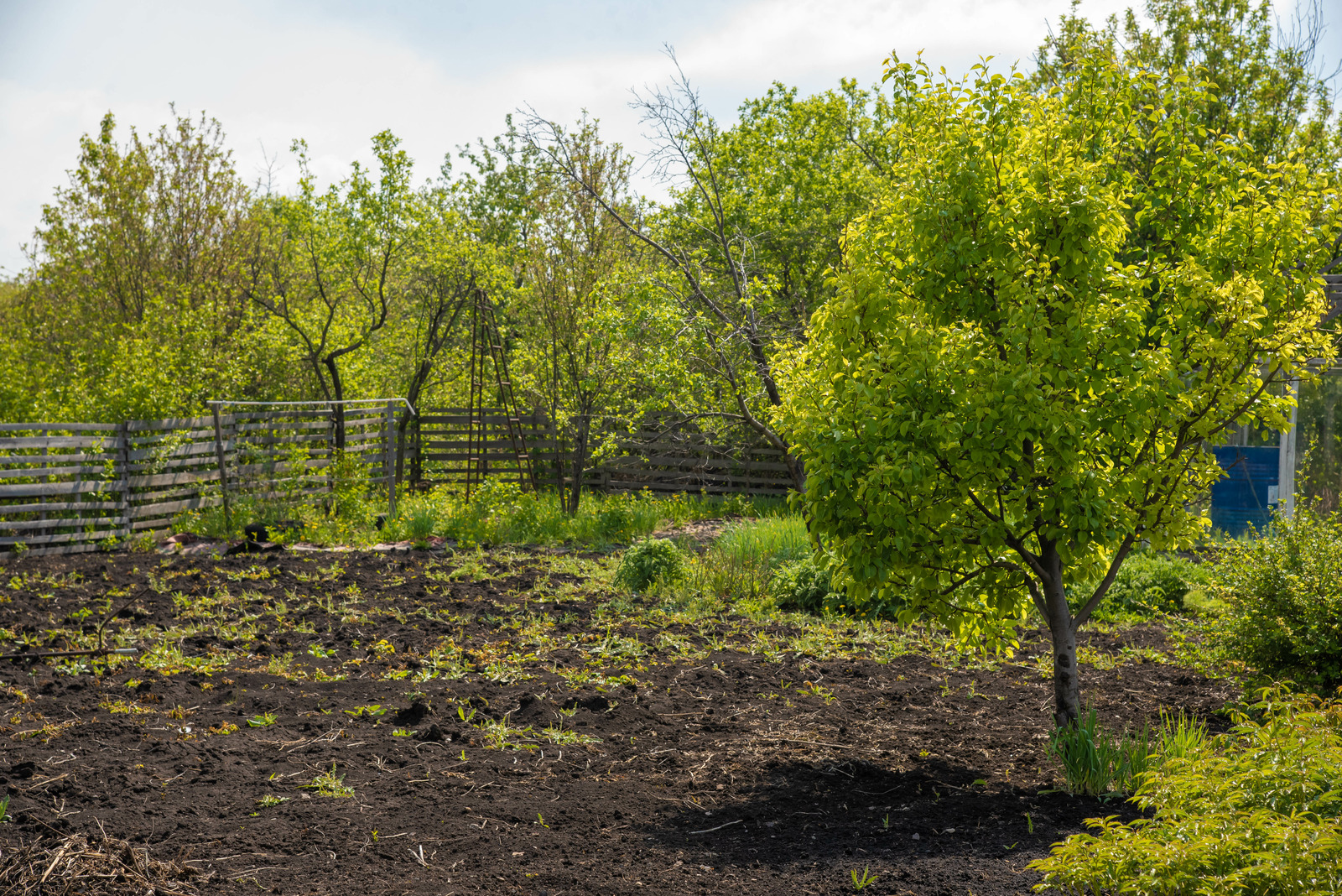 В Башкирии эксперт объяснила, как найти  свободный земельный участок для аренды