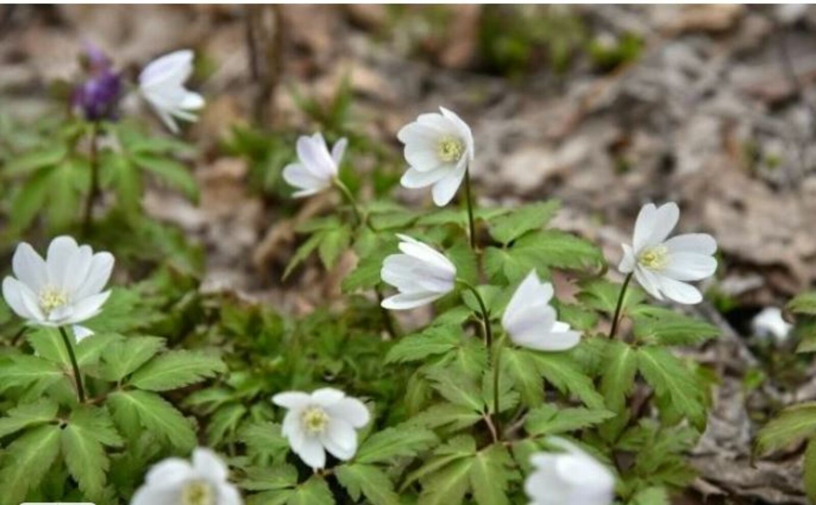 Метеорологи Туймазов рассказали о погоде в апреле