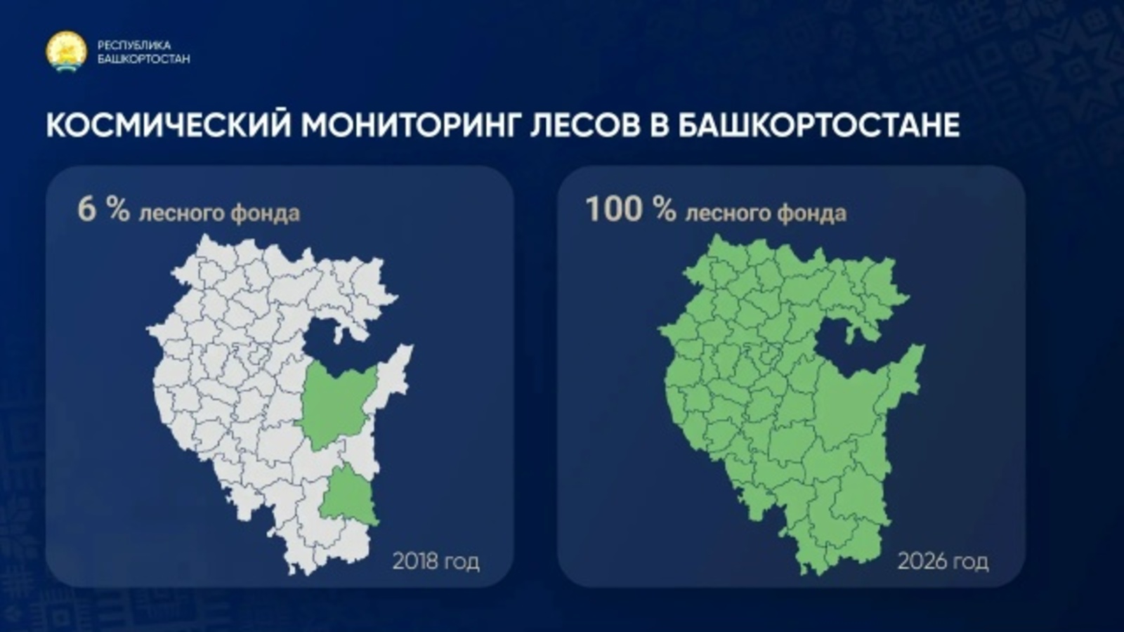 В Башкирии лес на 100 процентов контролируется из космоса