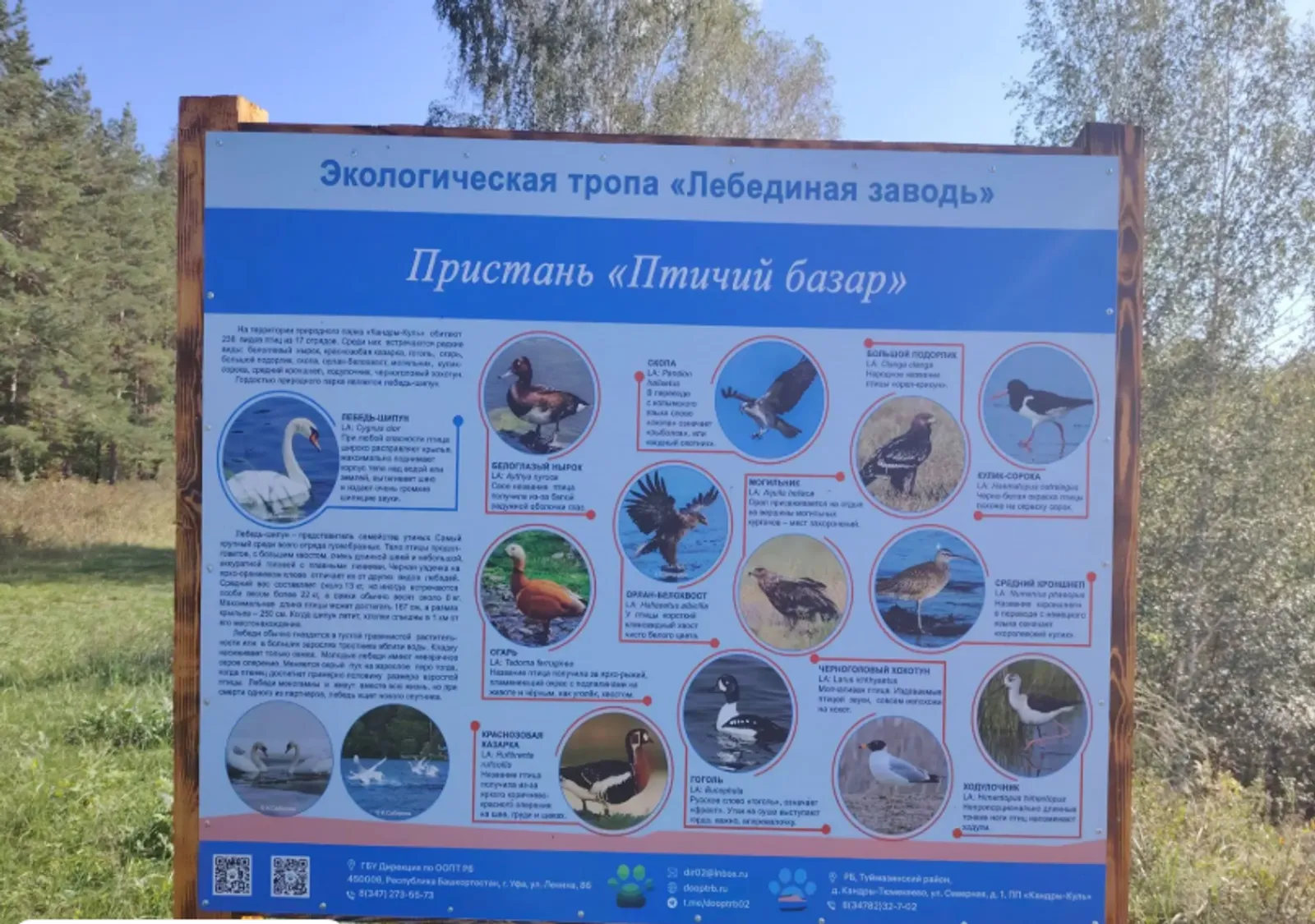 На экотропе «Лебединая заводь» в Туймазах прошел экологический субботник