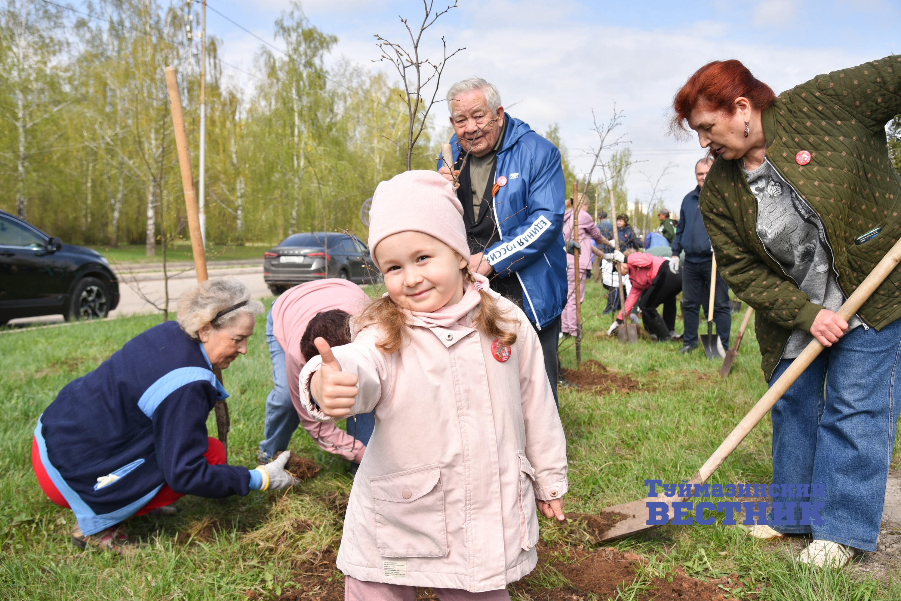 В Туймазинском районе высадили почти полторы тысячи деревьев и кустарников