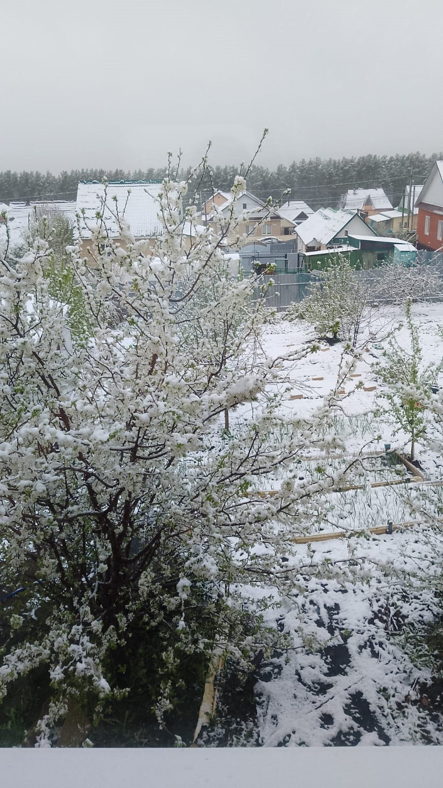 В Туймазах выпал снег