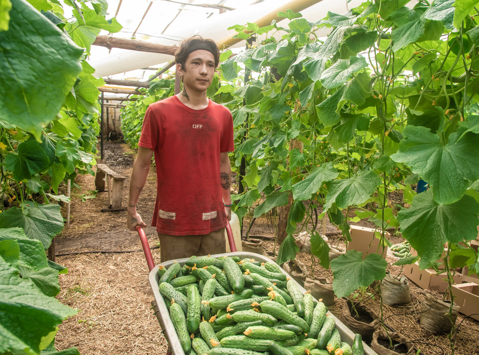 Башкирия увеличила экспорт продукции АПК