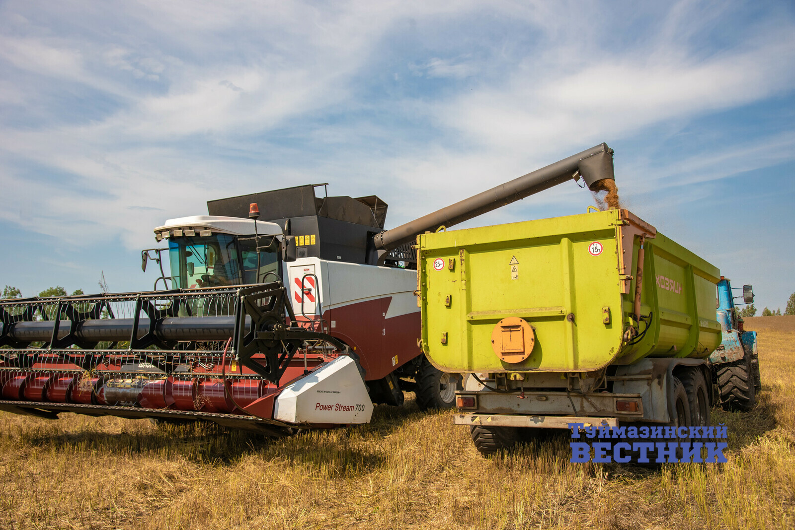 В районах Башкирии завершается уборка масличного рыжика