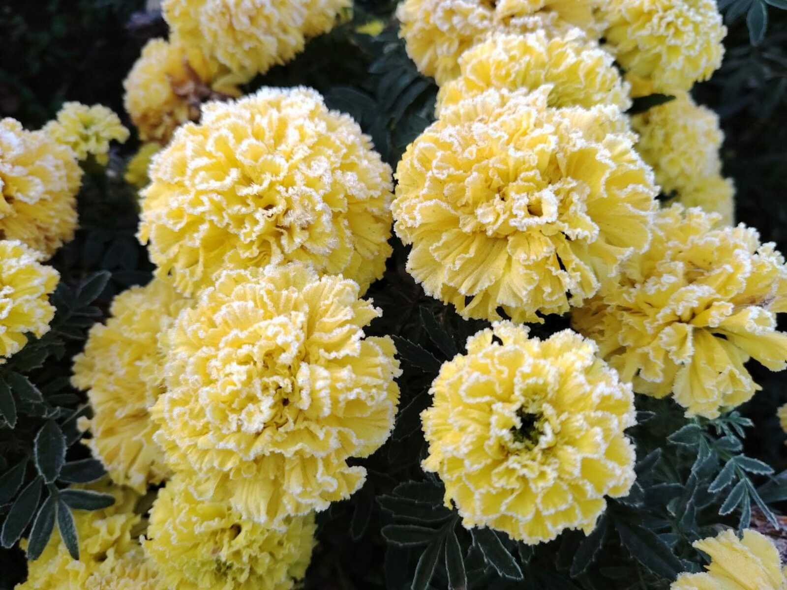 Стало известно, когда в Башкирии выпадет снег