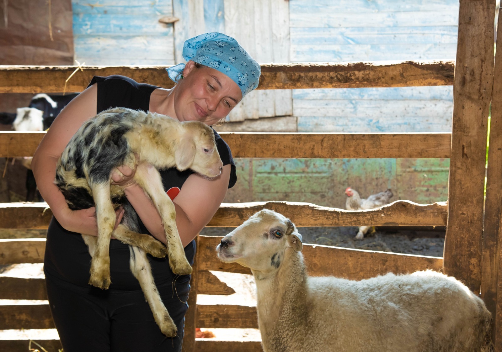 Многодетные супруги из Башкирии живут личным подсобных хозяйством