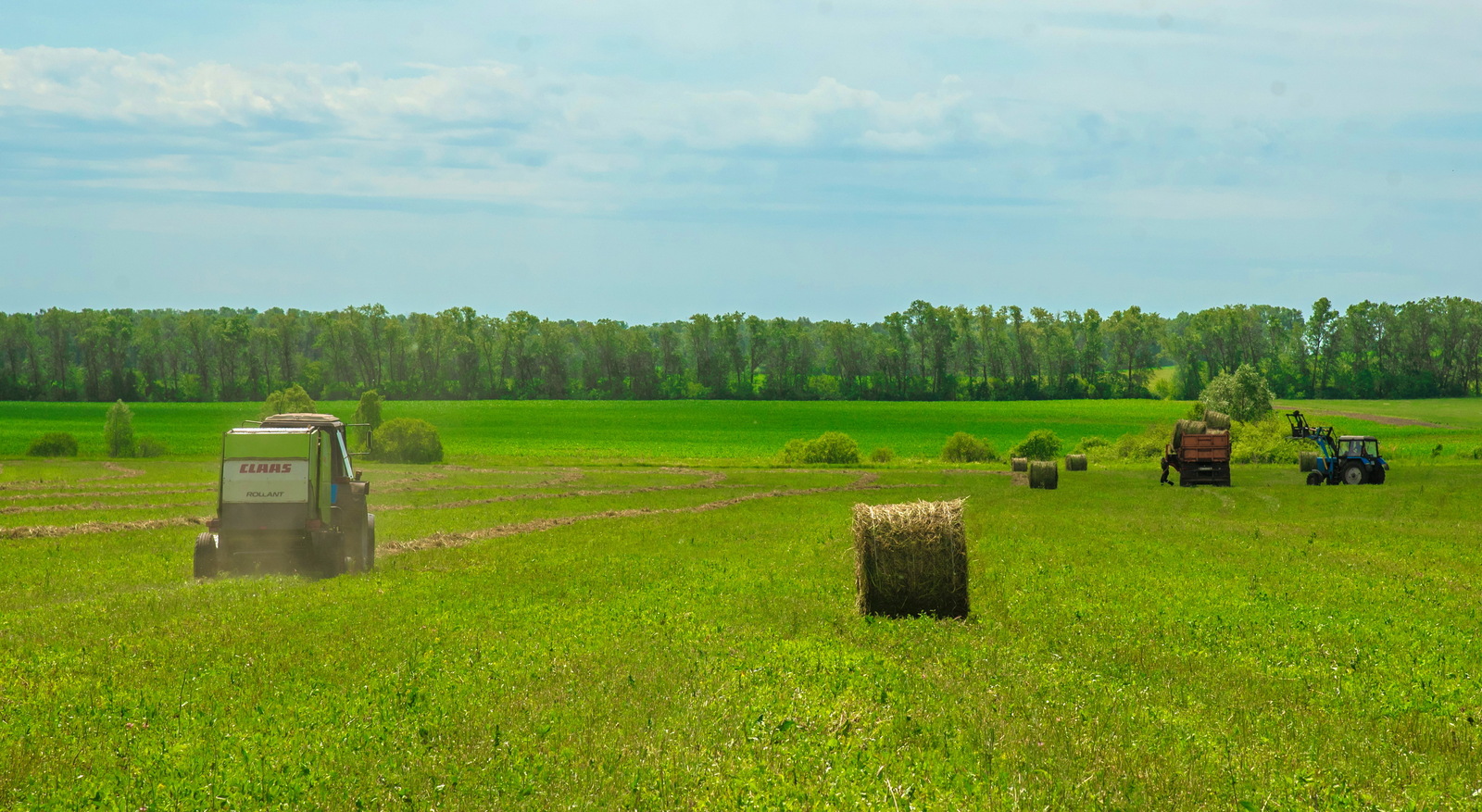 В Башкирии сгорели 28 тонн сена