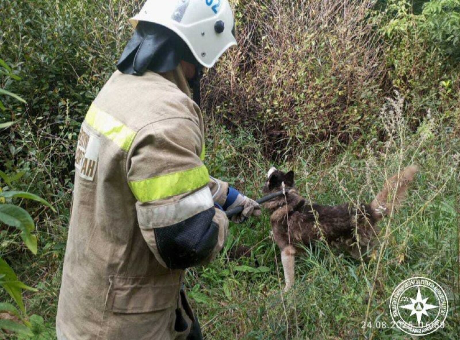 В Туймазах спасатели вызволили собаку из колодца