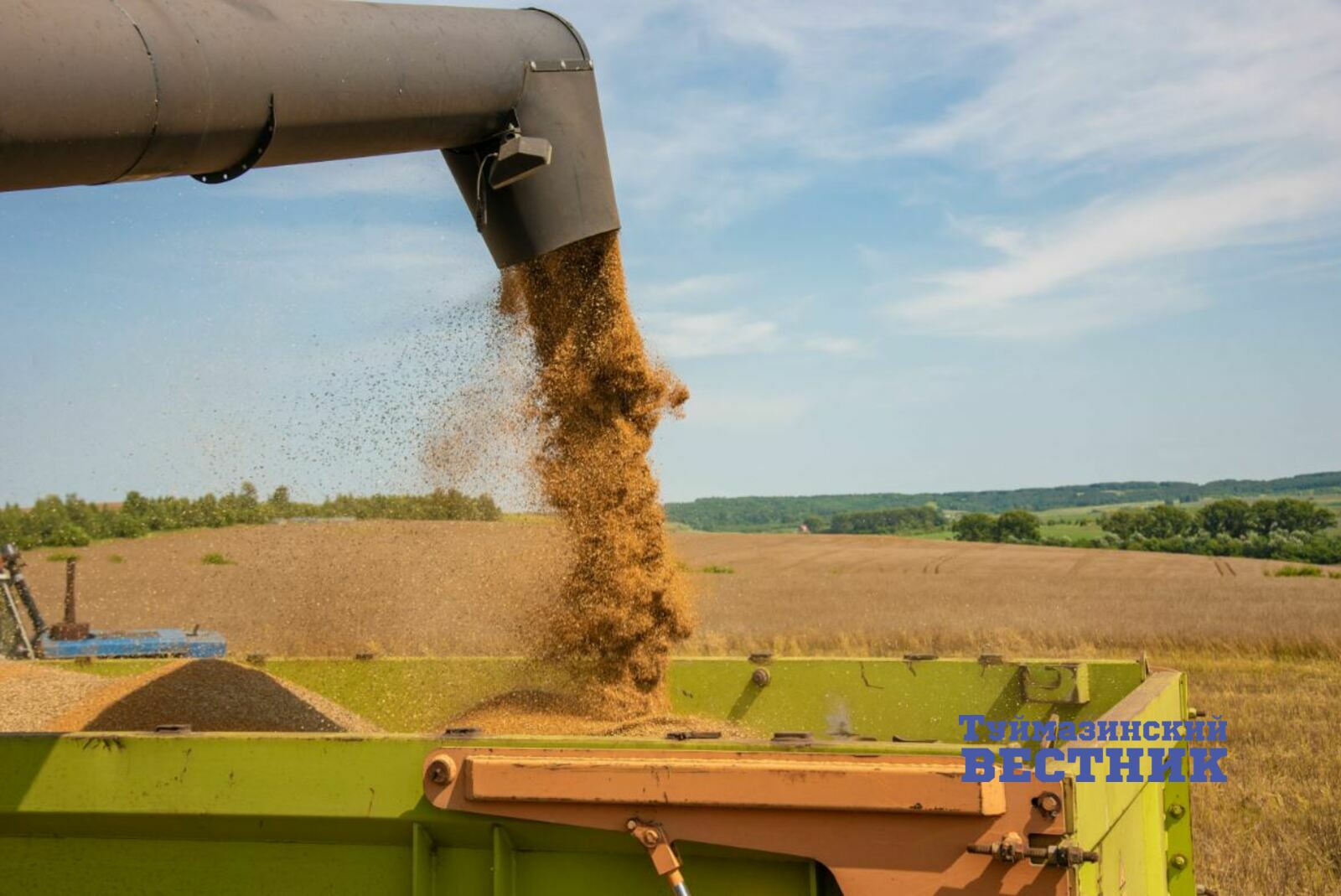 В Башкирии убирают зерновые, заготавливают корма