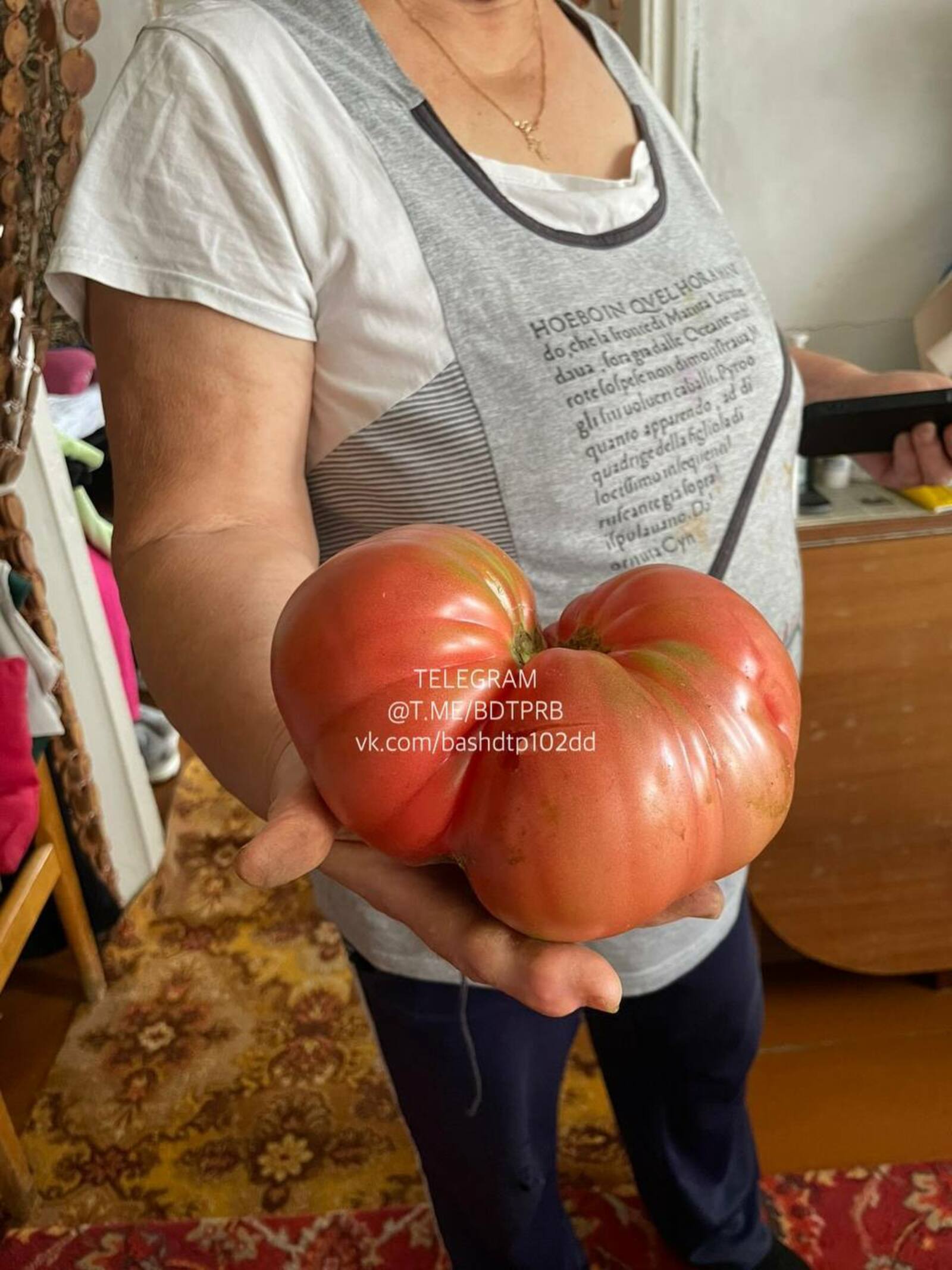 В Башкирии вырастили помидор весом в полтора килограмма