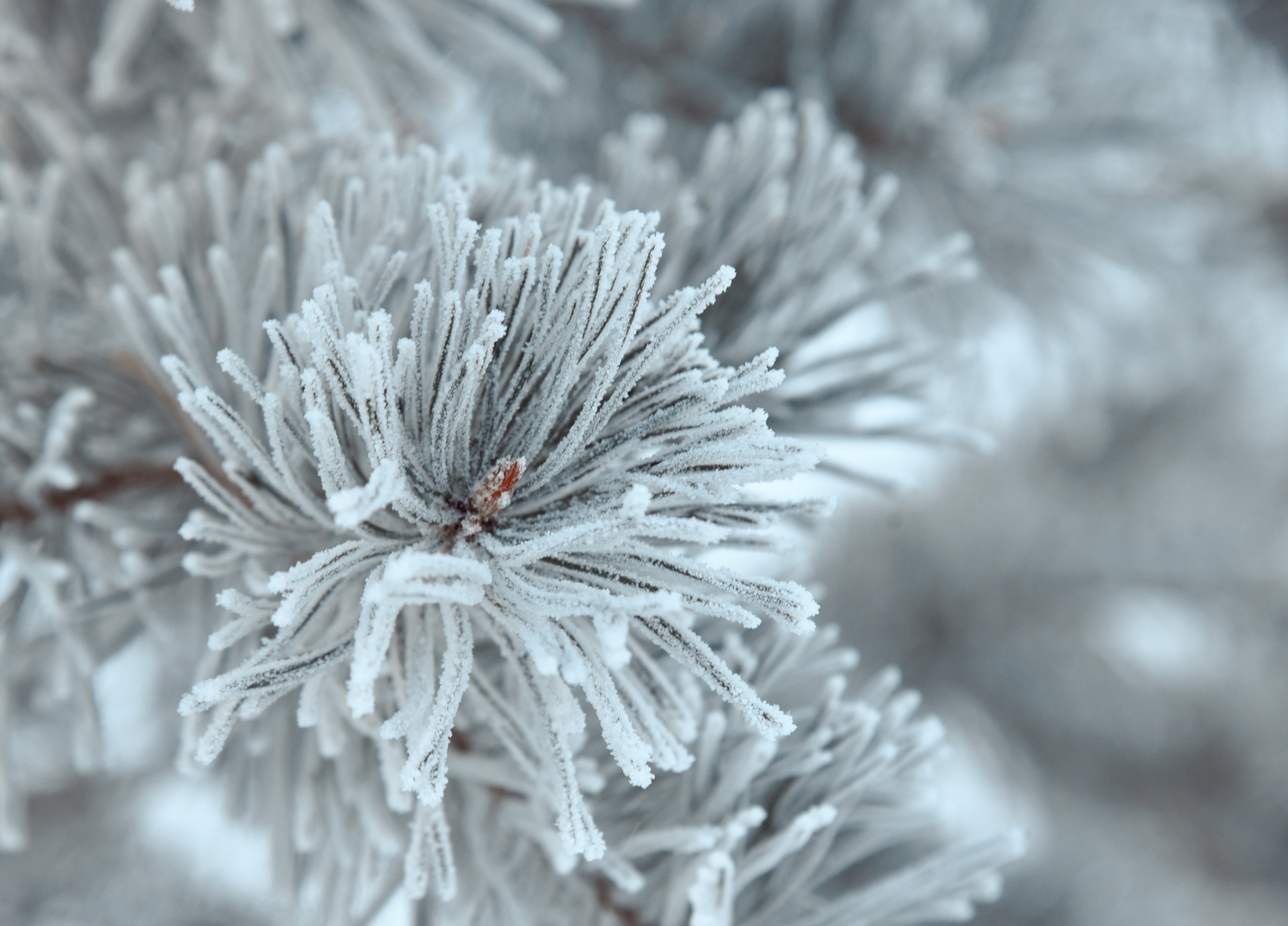 В Башкирии частично перекрыли трассу М-5 из-за непогоды