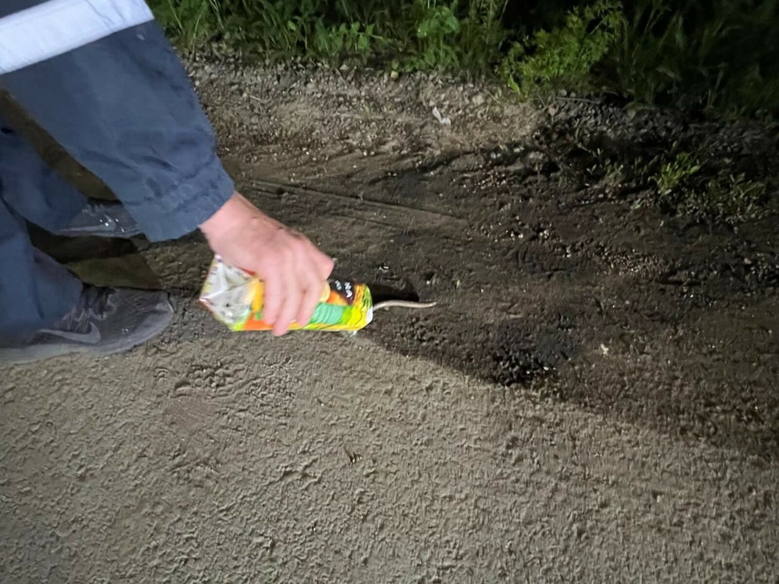 В Башкирии в доме уфимки спасатели выловили змею