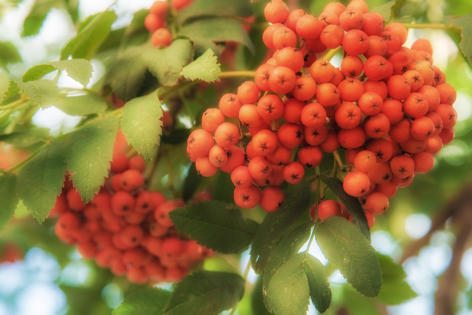 В Башгидромете заявили об аномально теплом конце ноября