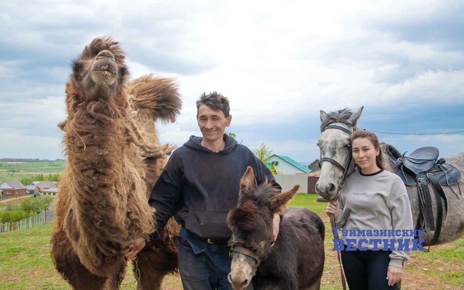 У жителя Туймазинского района в частном подворье живет верблюд
