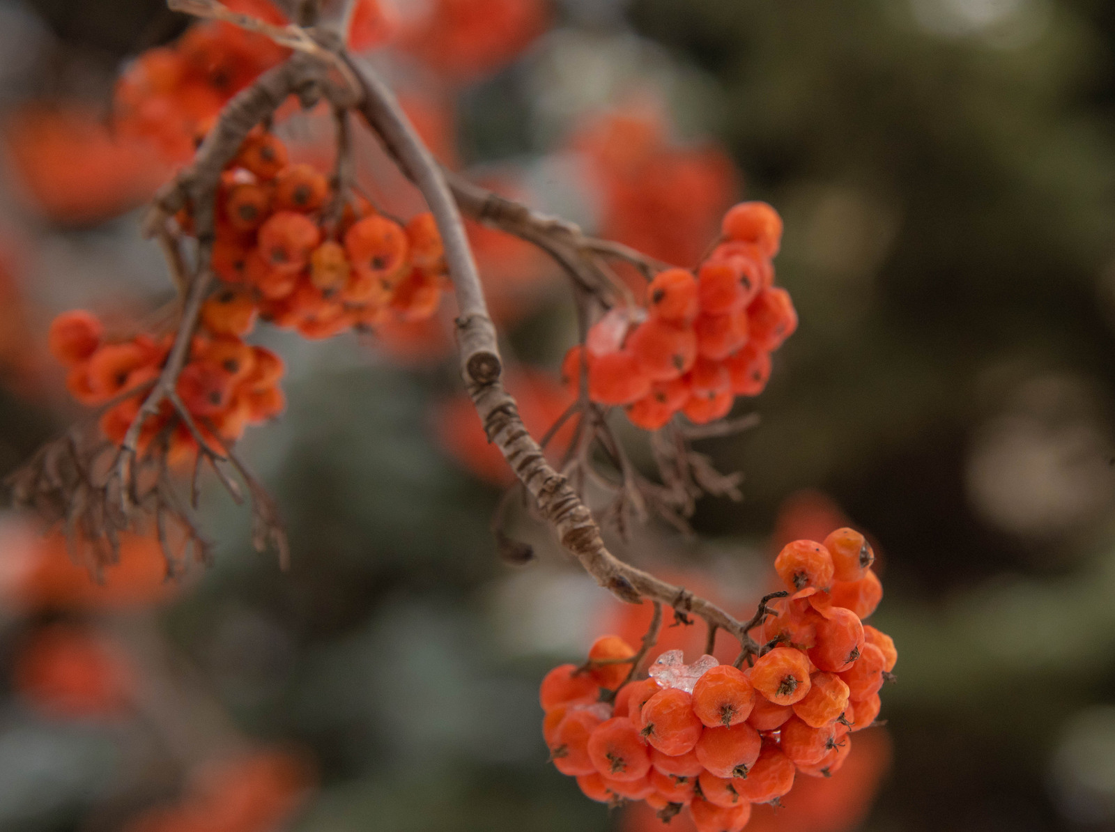 В Башкирии понизится температура воздуха
