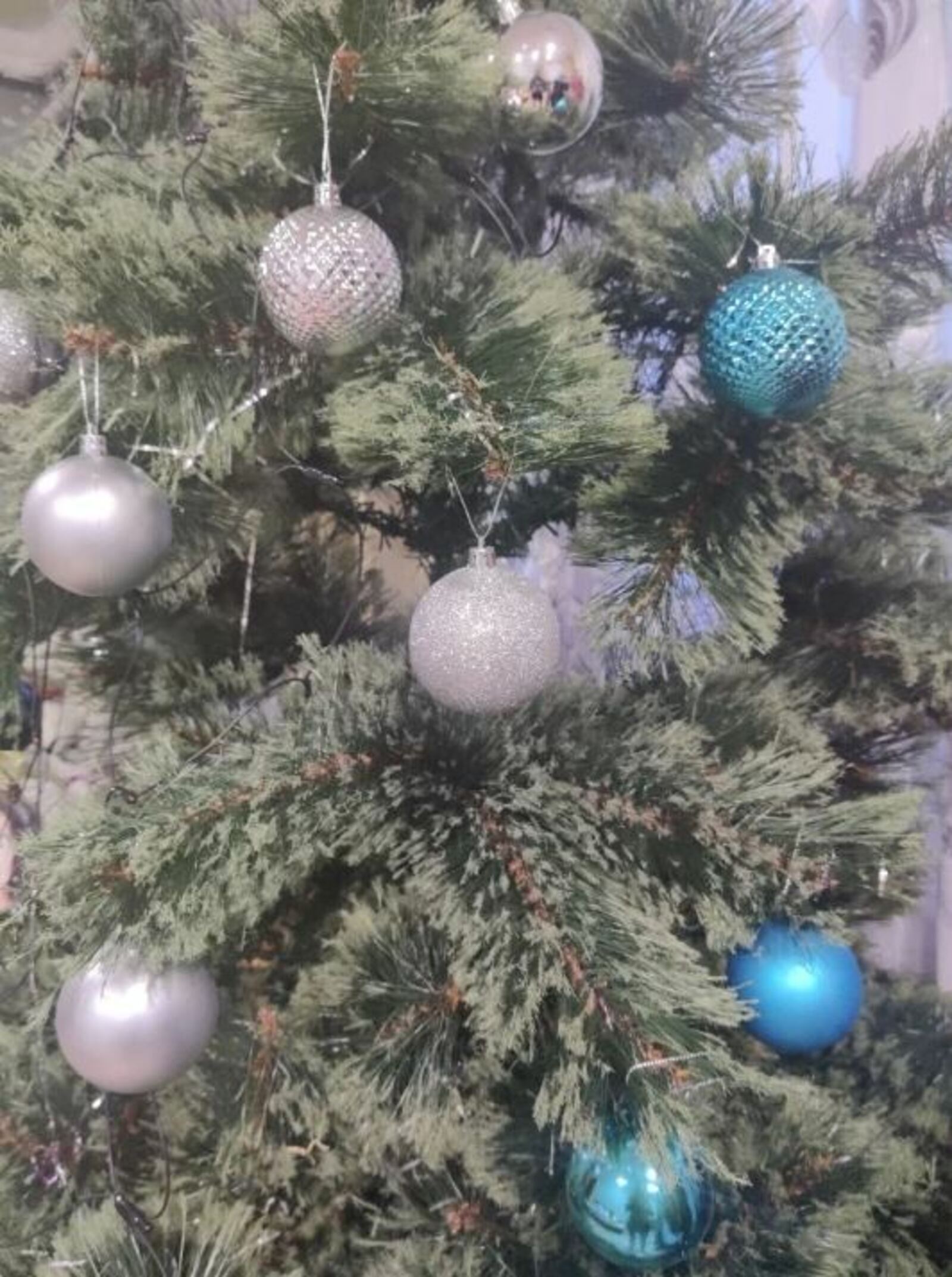 В Туймазах елки можно сдать на утилизацию