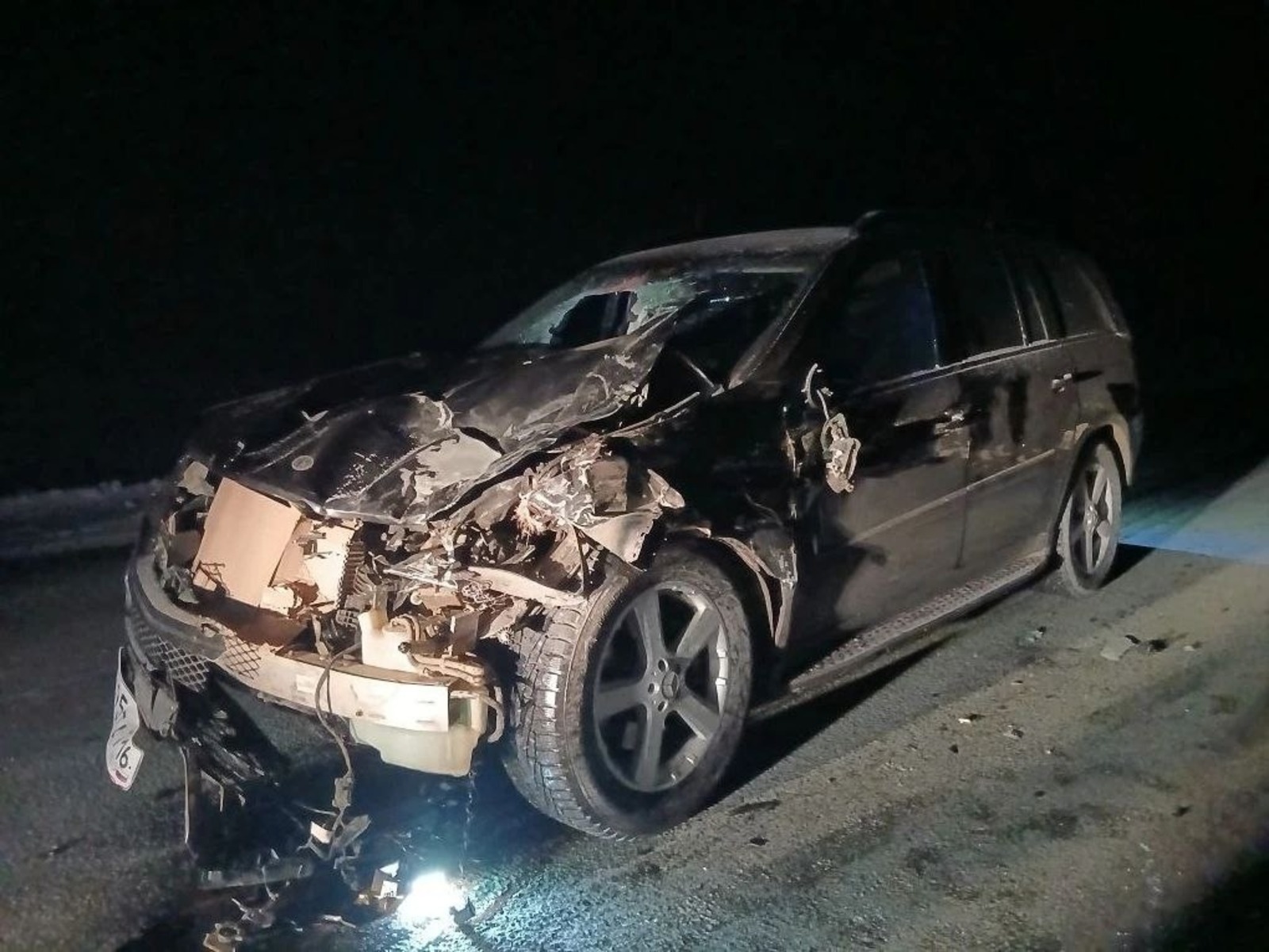 В Башкирии иномарка наехала на табун лошадей