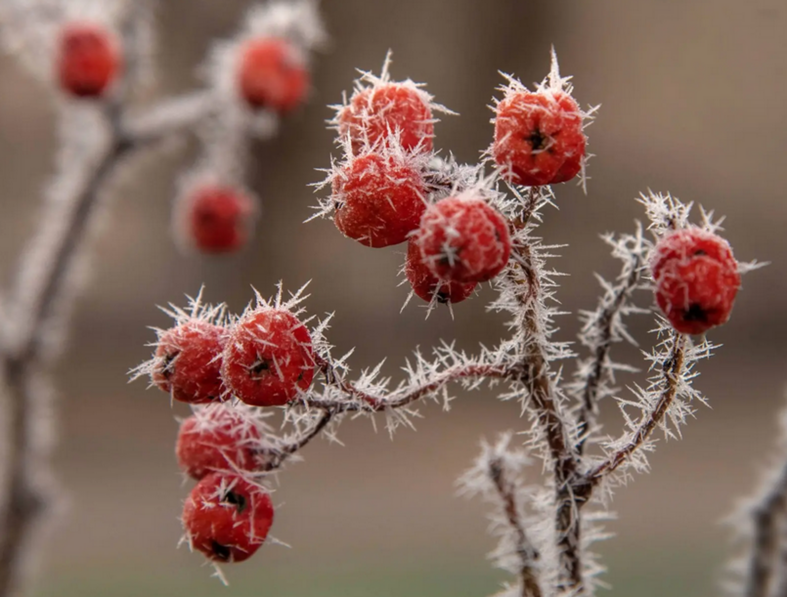 Стало известно, когда в Башкирии выпадет снег