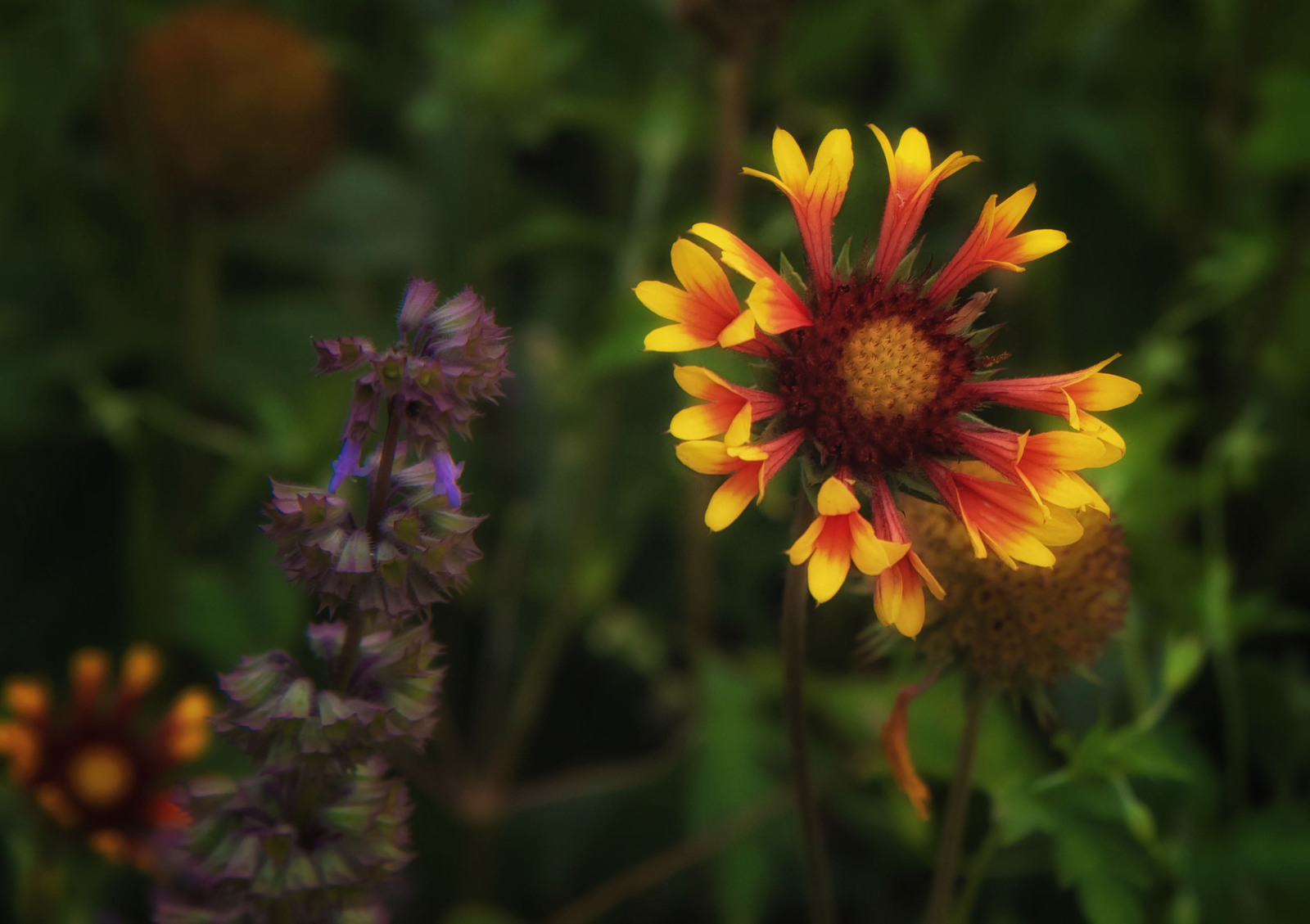 Стало известно, какая погода ждет жителей Башкирии до конца июля