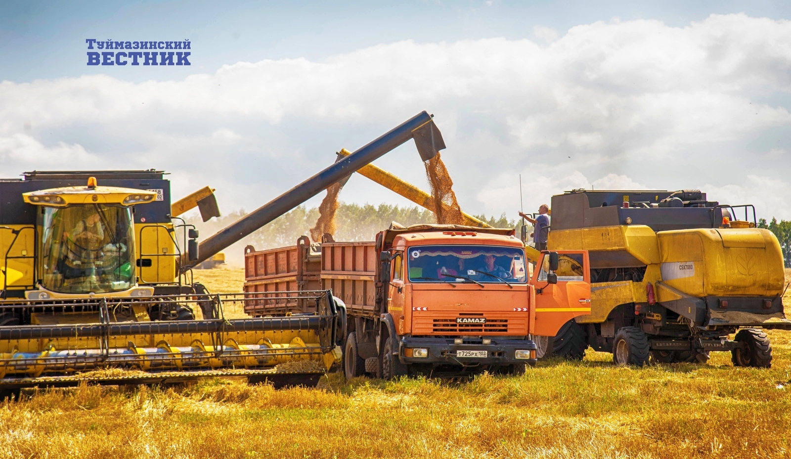 Башкирия экспортировала 200 тысяч тонн зерна