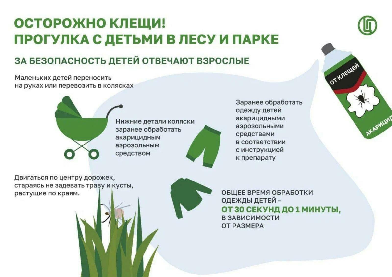 Клещи в Башкирии покусали 6568 человек