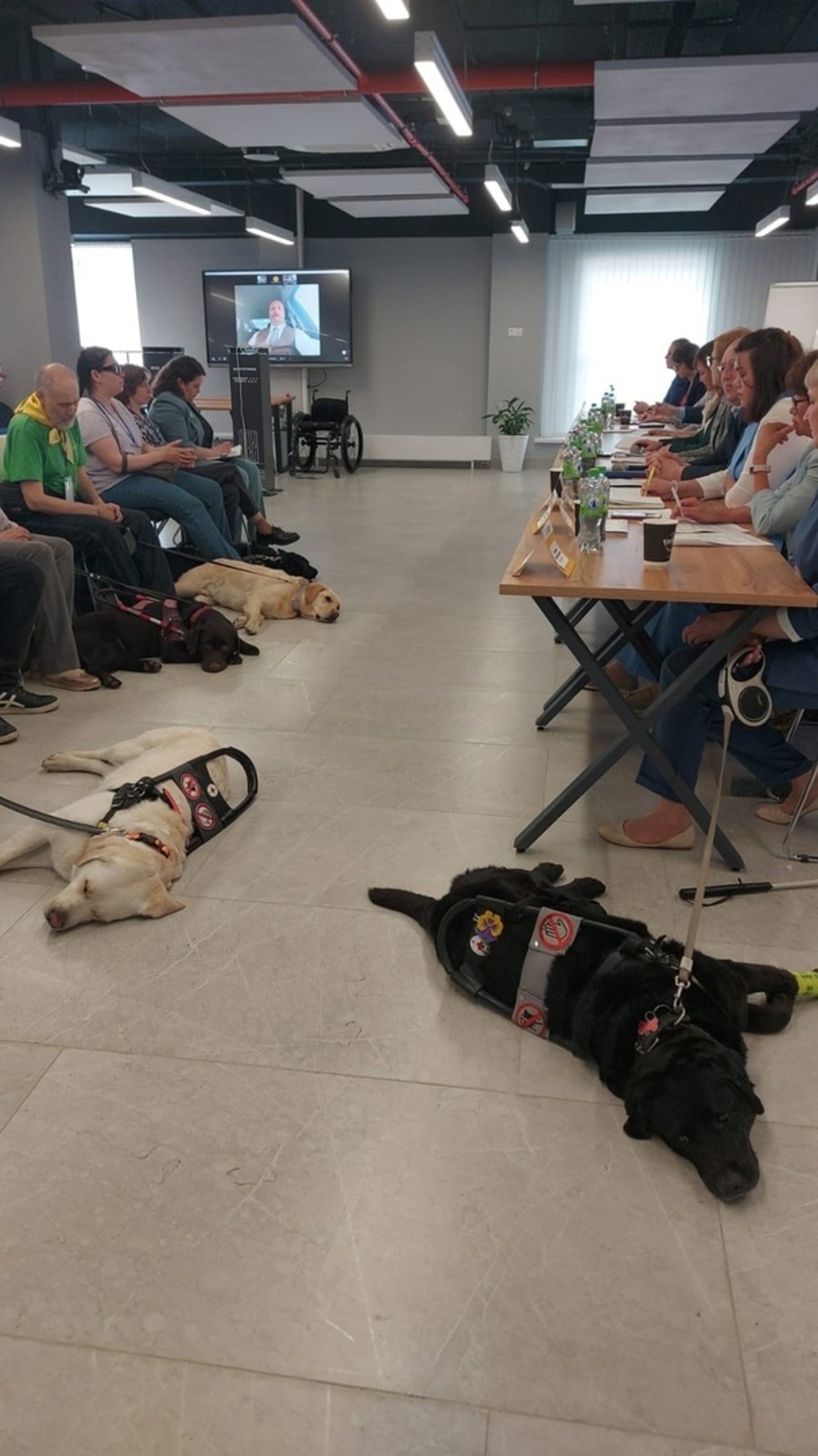 В Башкирии в Межвузовском кампусе провели встречу владельцев собак-поводырей
