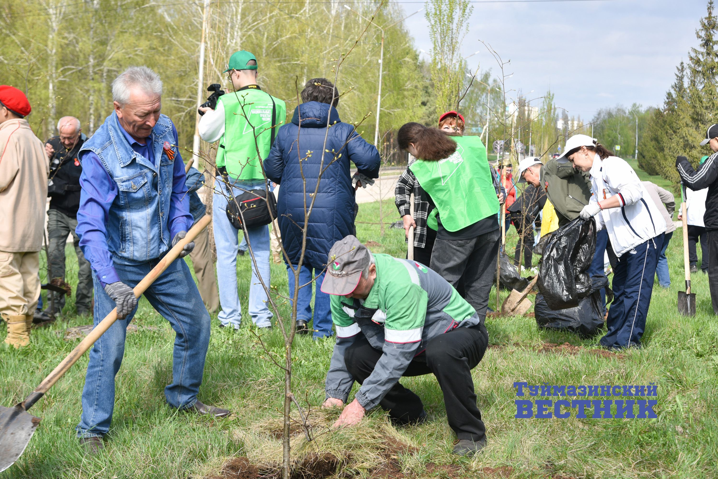 В Туймазинском районе высадили почти полторы тысячи деревьев и кустарников