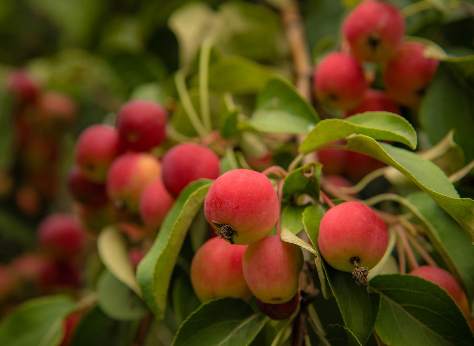 Стало известно, какая осень ожидает жителей Башкирии