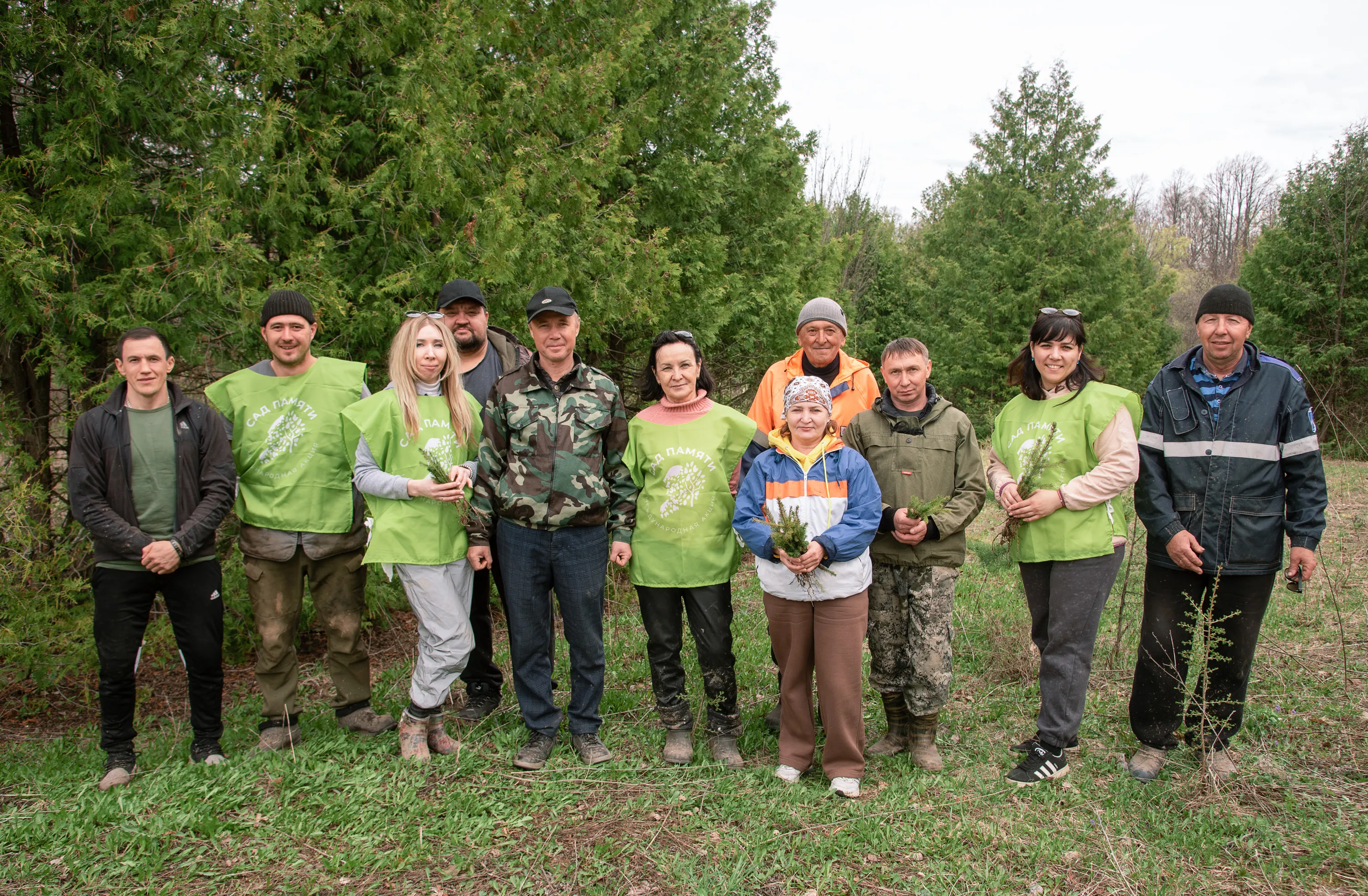 В Туймазинском районе посадили 8000 елей