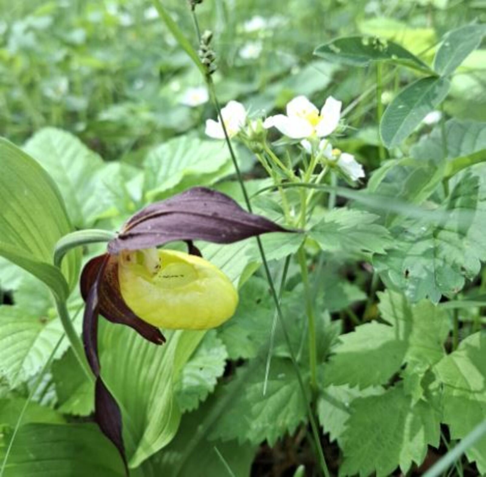 Природные парки Башкирии с начала года посетили около 11 тысяч человек