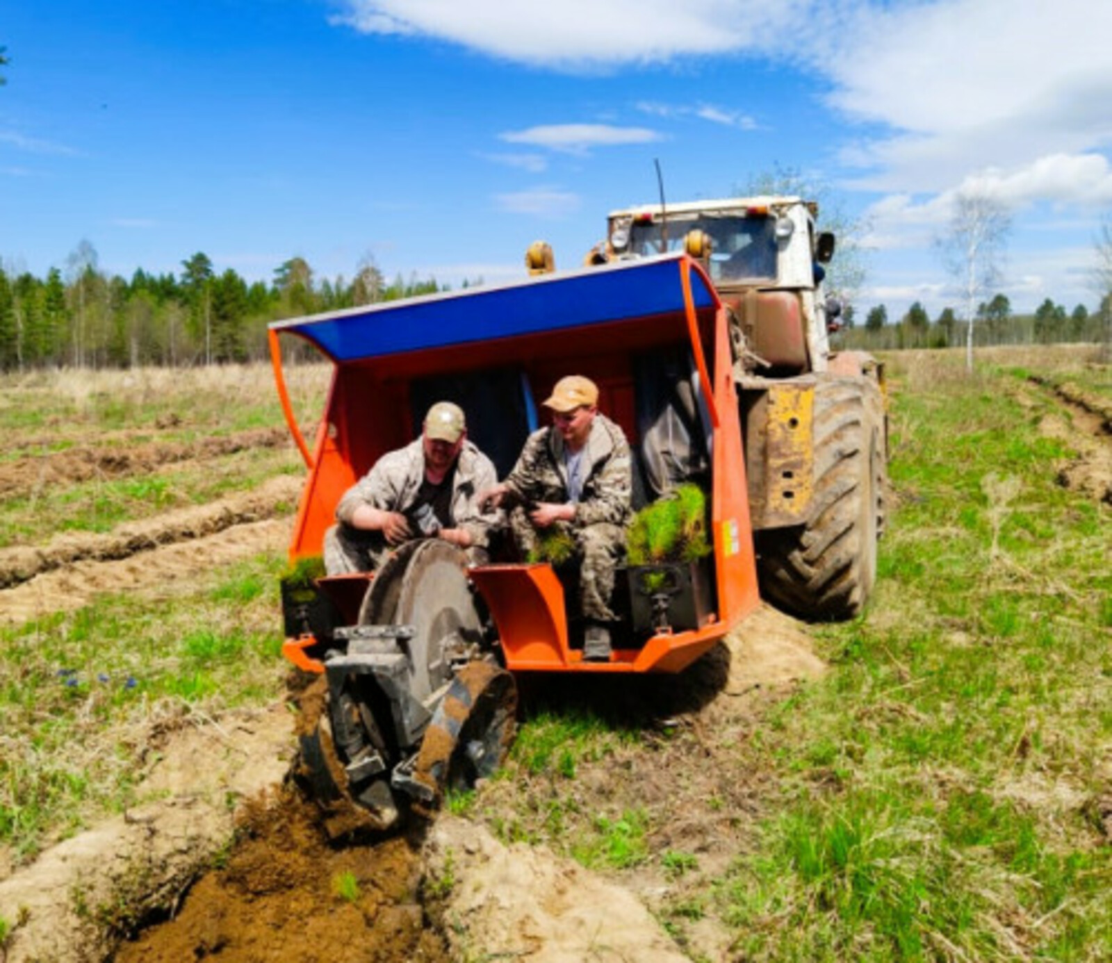 В Башкирии перевыполнили объем весенних лесокультурных работ