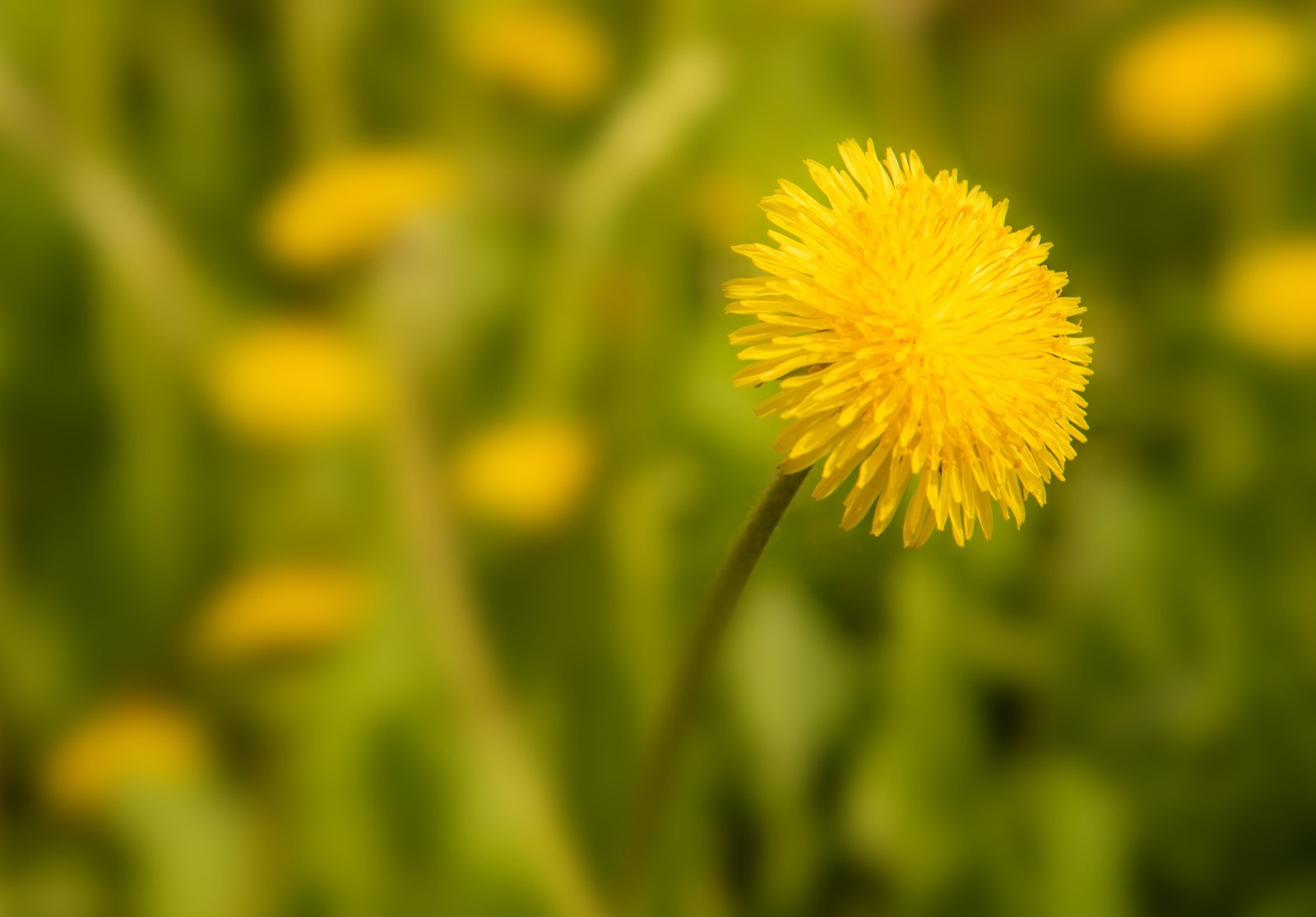 Жителей Туймазов в мае ждут магнитные бури
